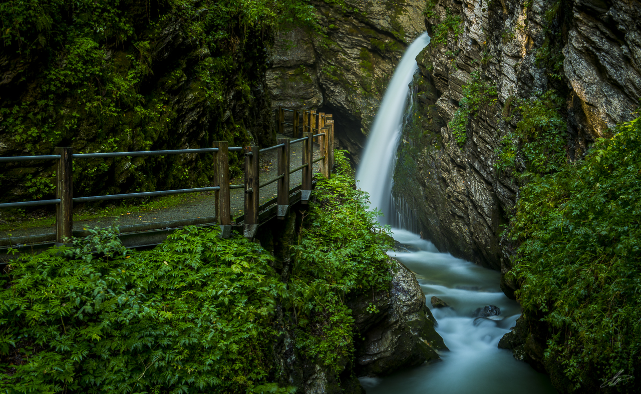 _DSC0021