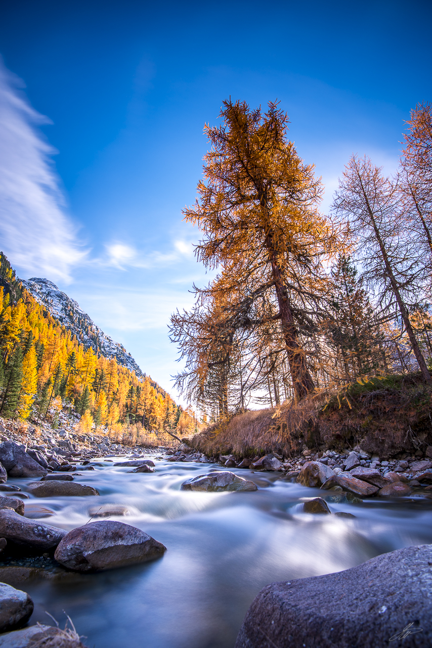_DSC2631-HDR