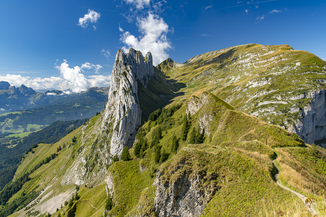 _DSC3786