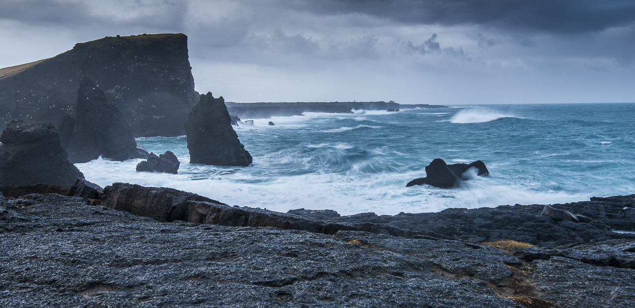 _DSC7679