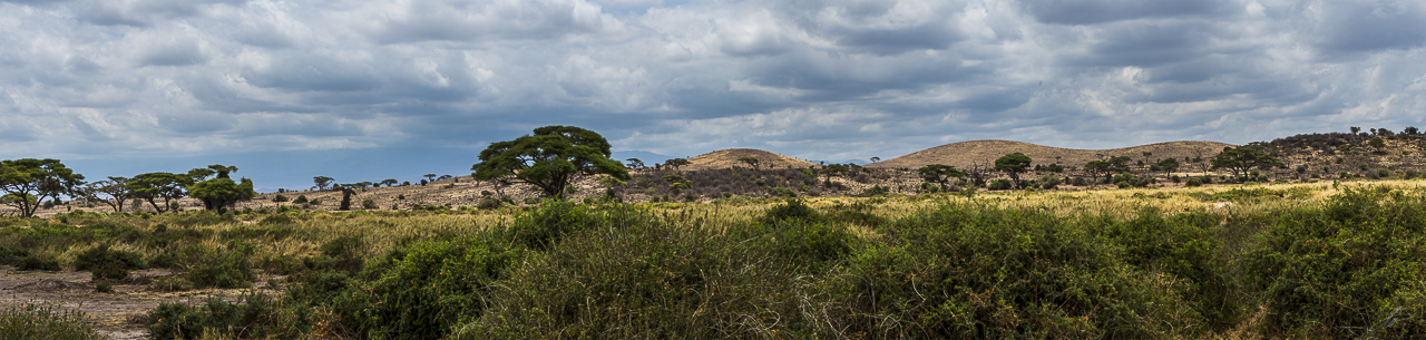 _DSC1582-Edit