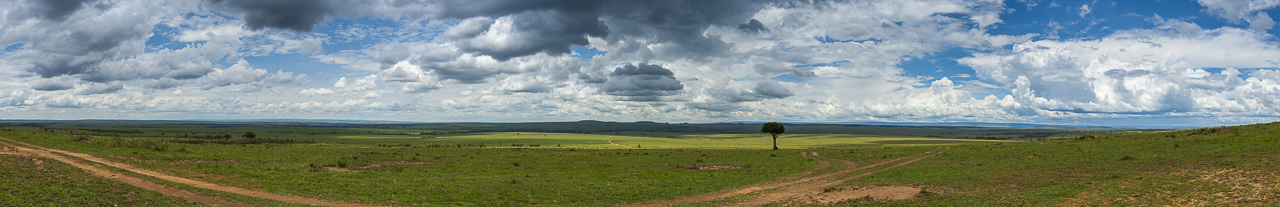 _DSC3730-Edit