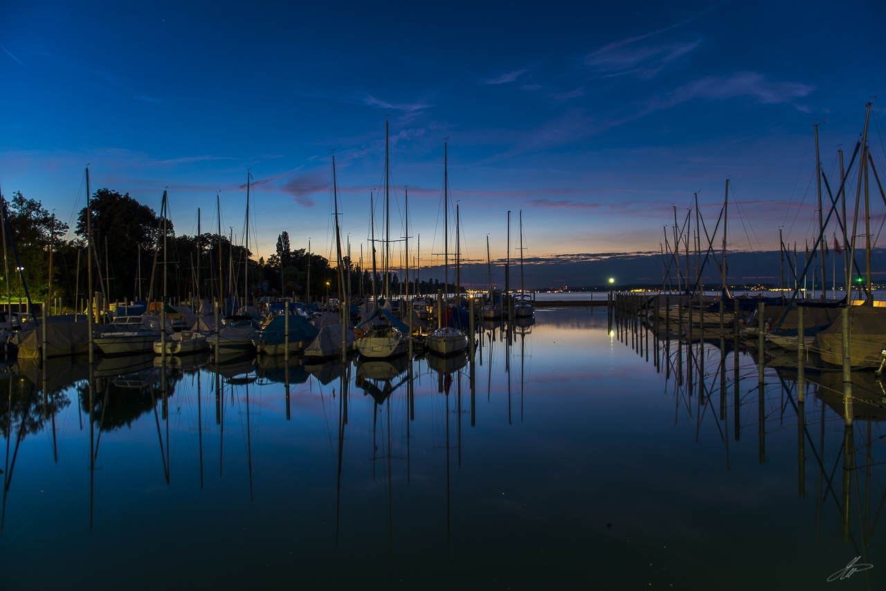 _DSC2234