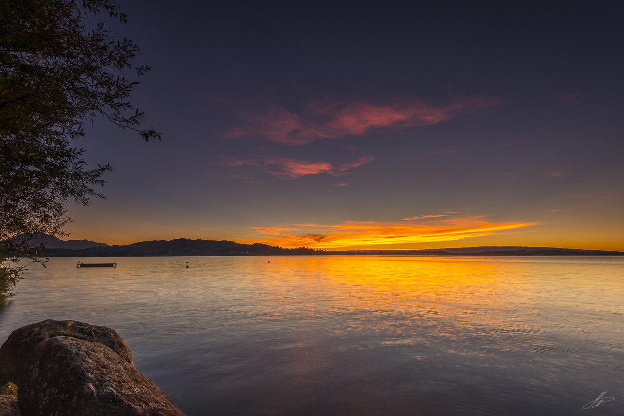 _DSC3754