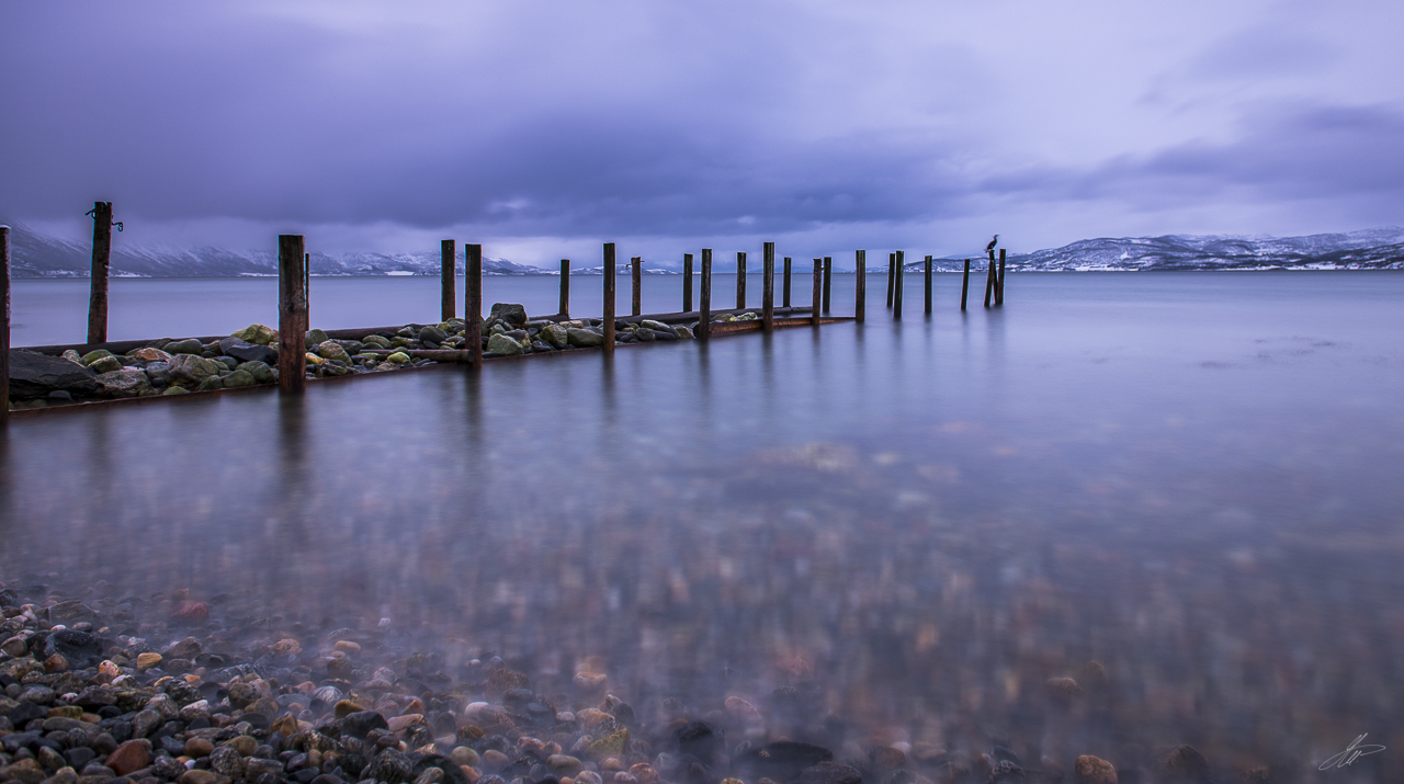 _DSC3711