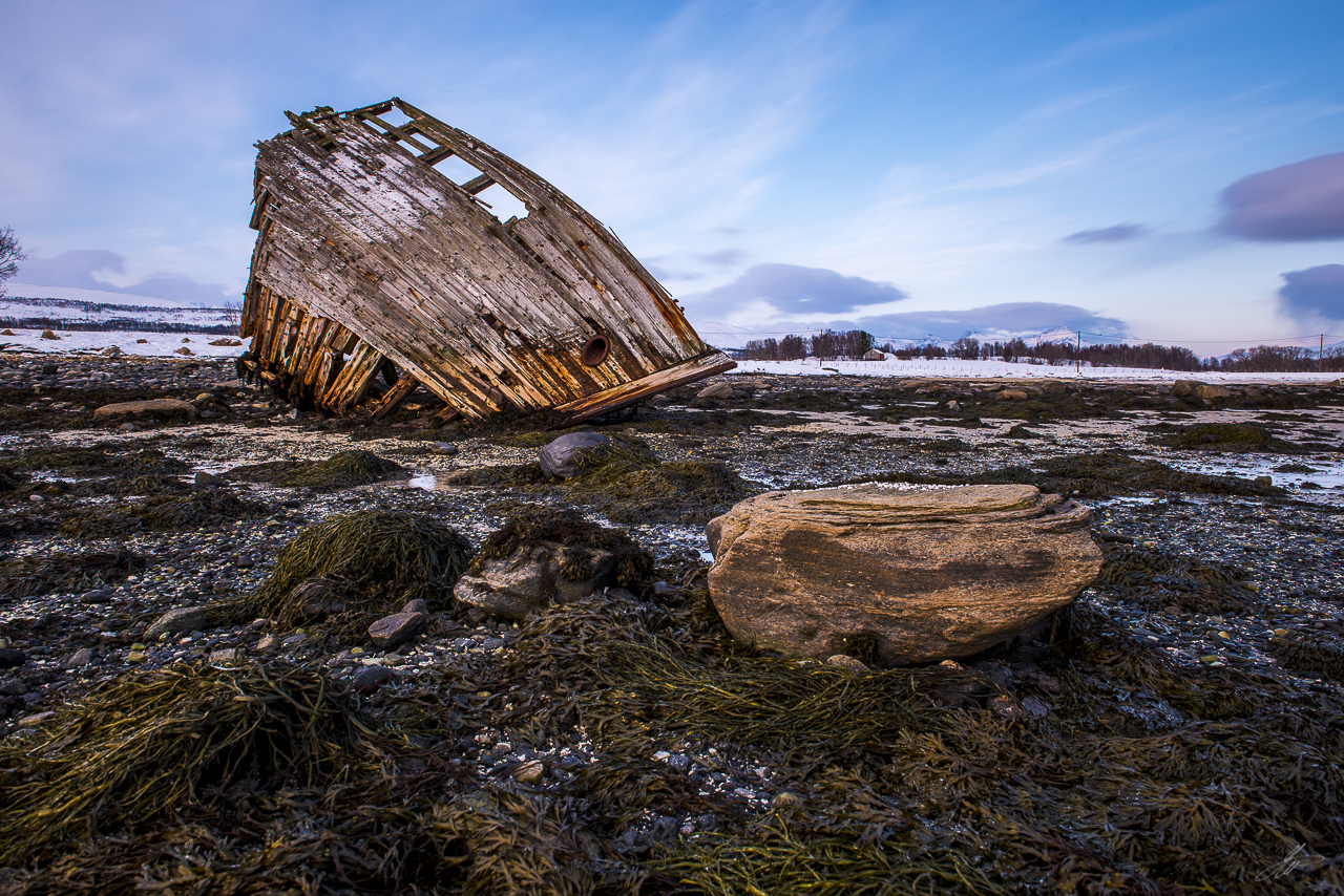 _DSC3752