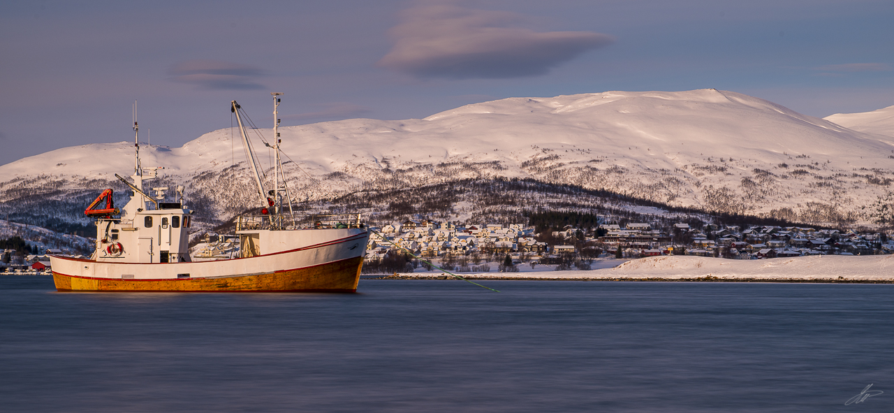 _DSC3854