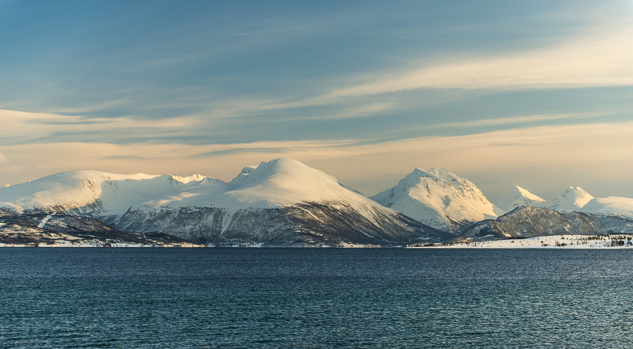_DSC3874