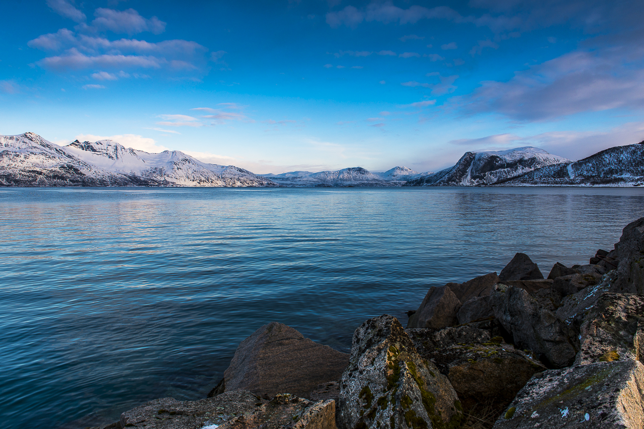 _DSC3990
