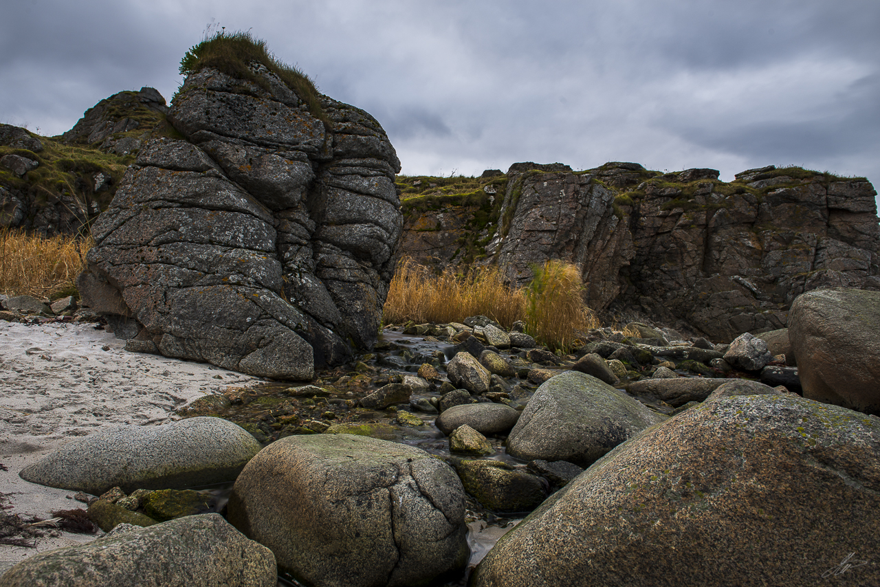 _DSC7824