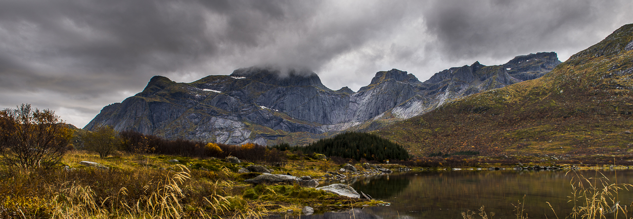 _DSC7867