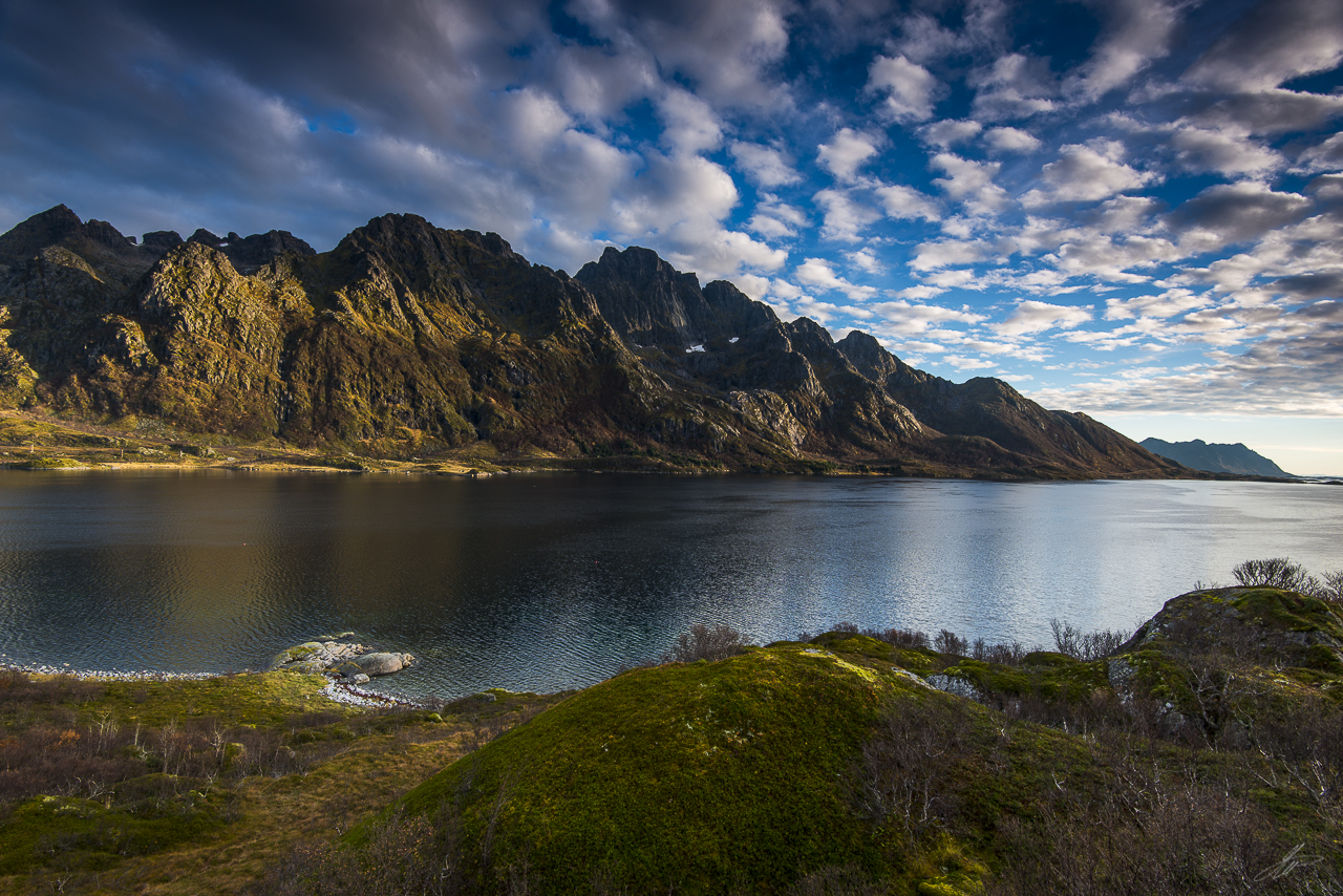 _DSC8300