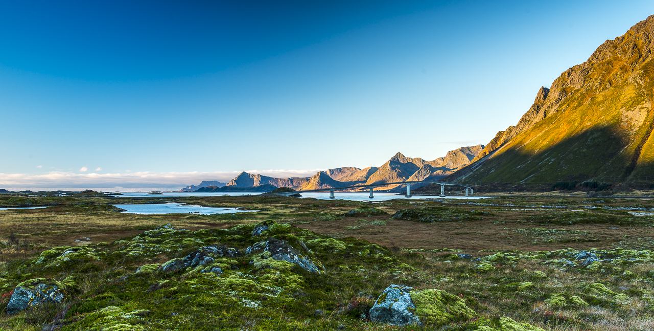 _DSC8412