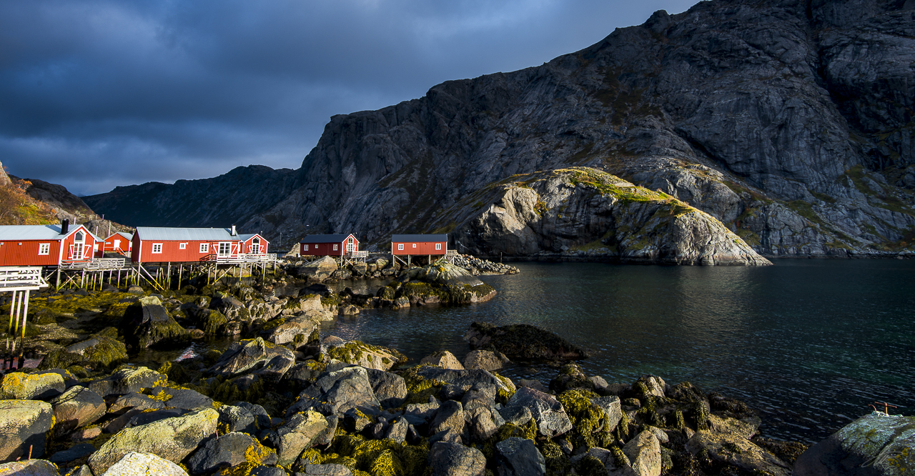 _DSC8424
