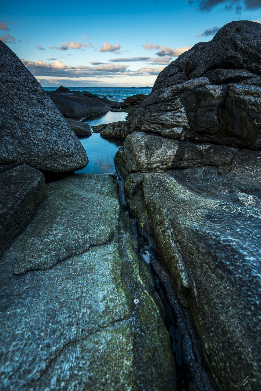 _DSC8553