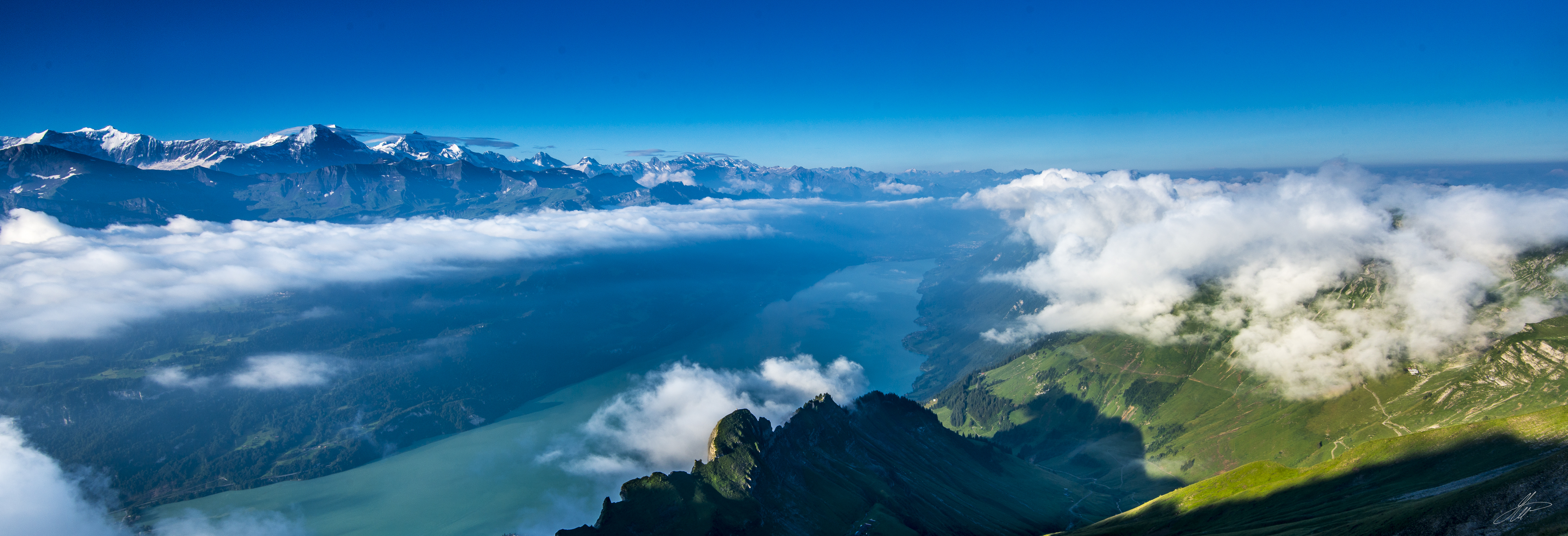 _DSC8687.jpg