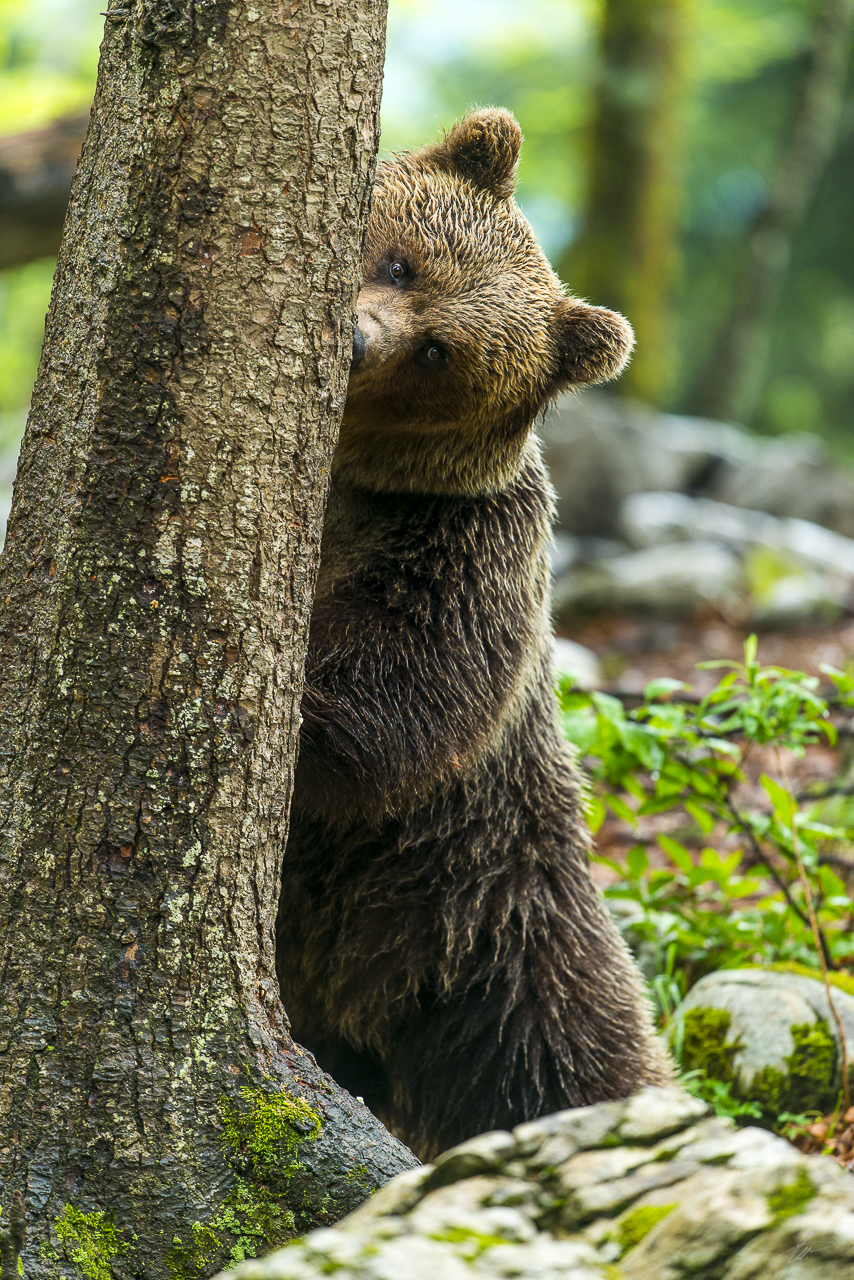 _DSC4635