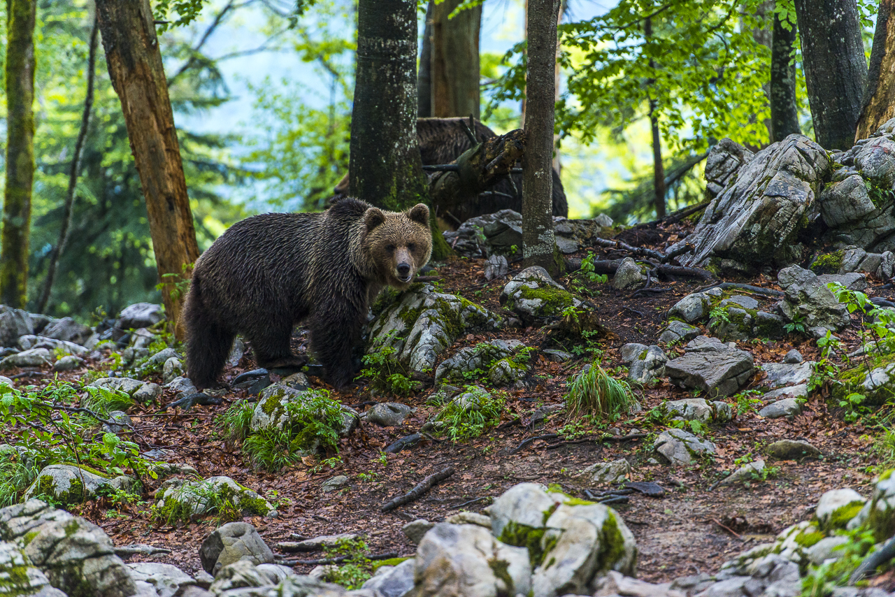 _DSC6049
