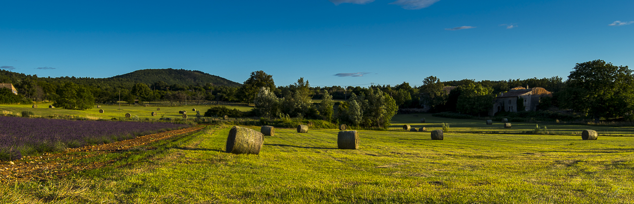 _DSC0390
