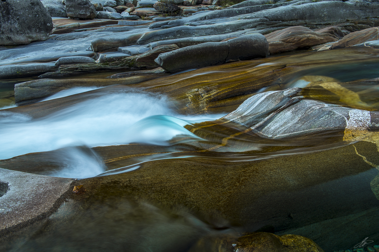_DSC1510