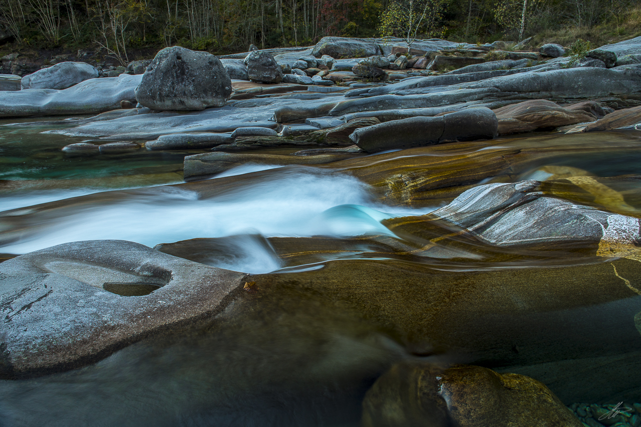 _DSC1514