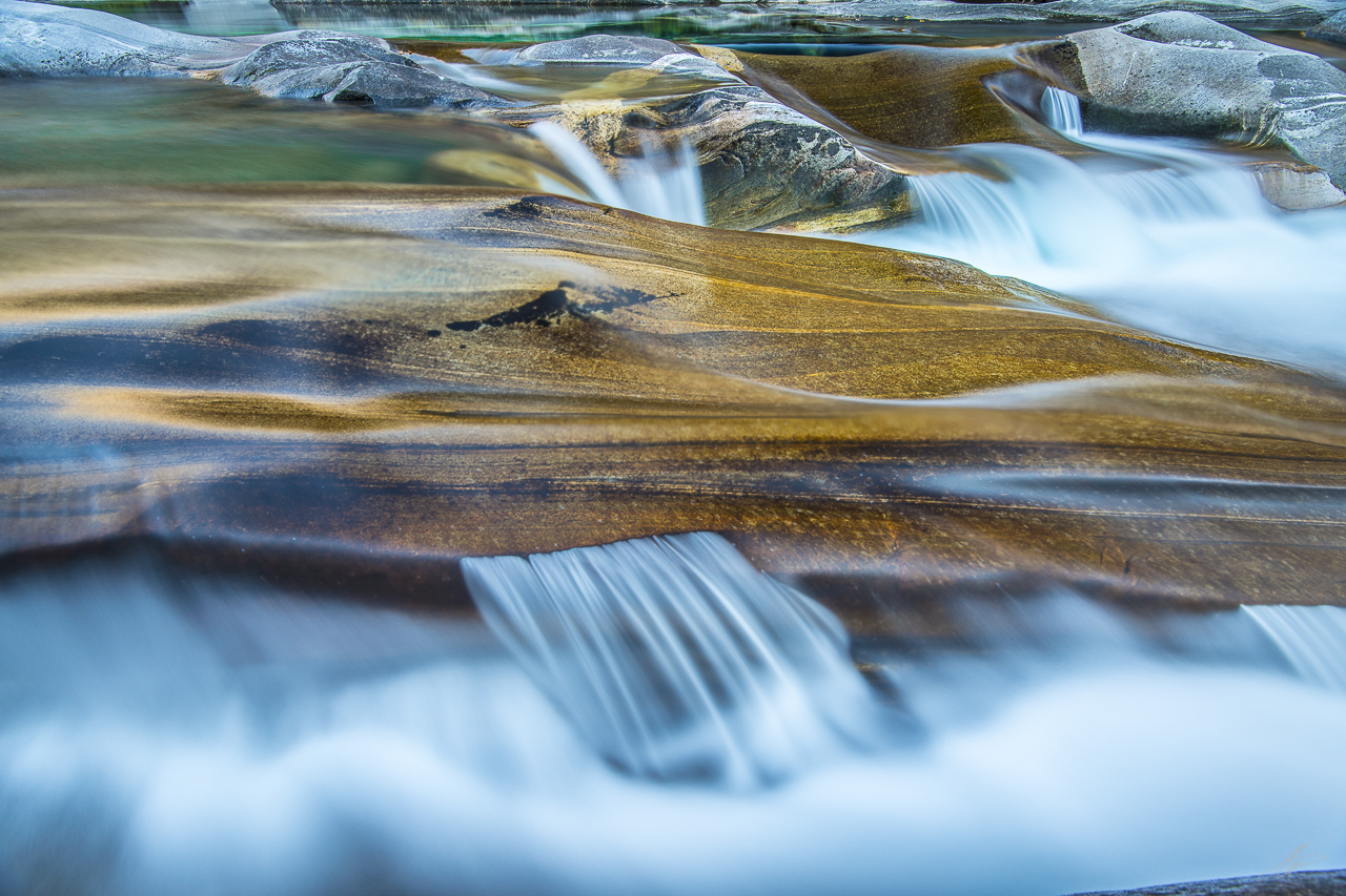 _DSC1551