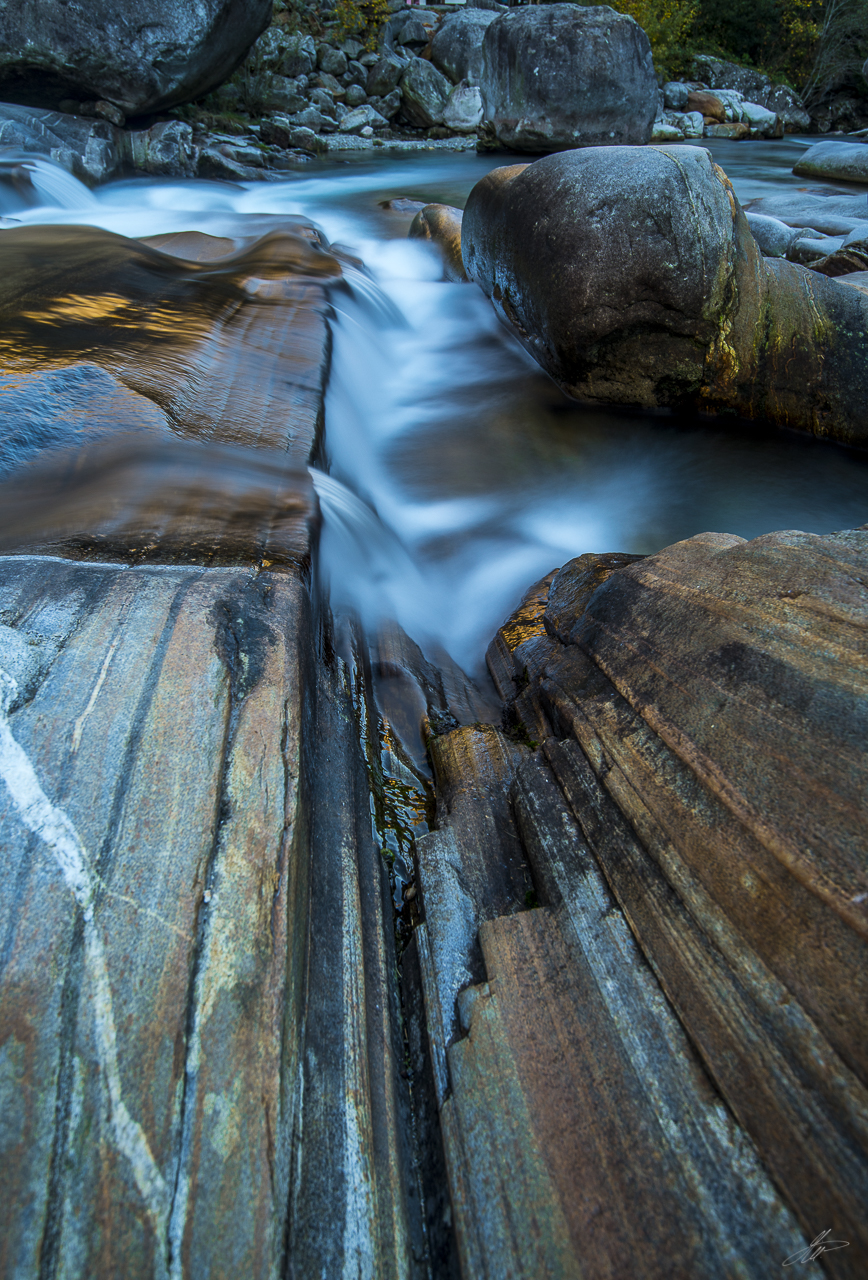 _DSC1605