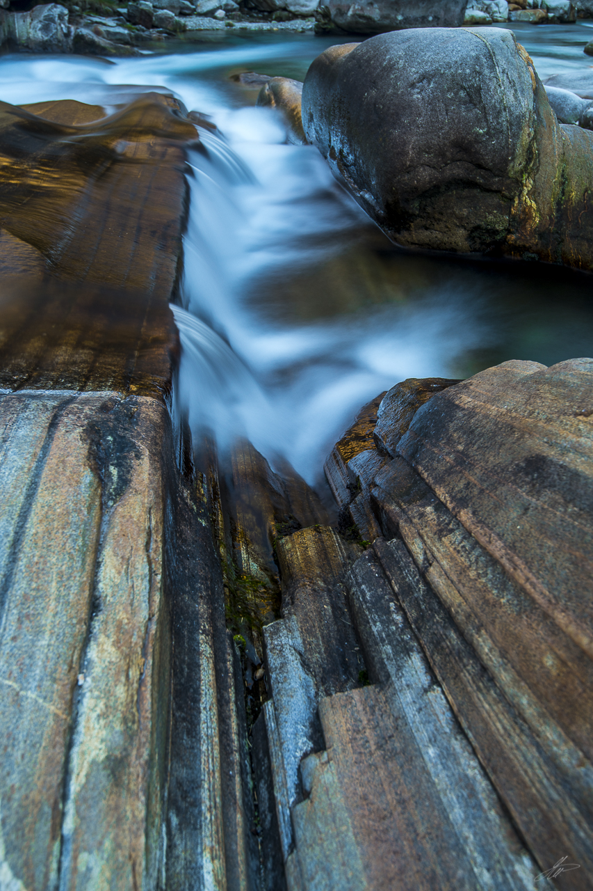 _DSC1608