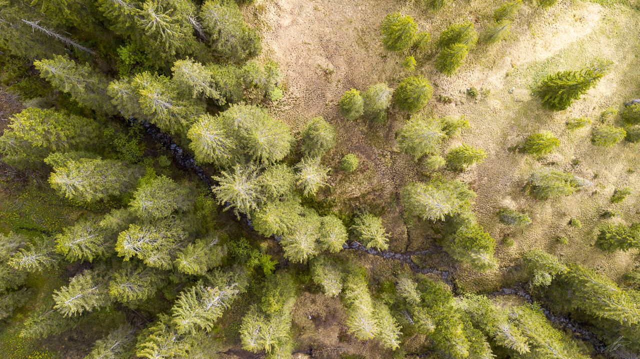 DJI_0028